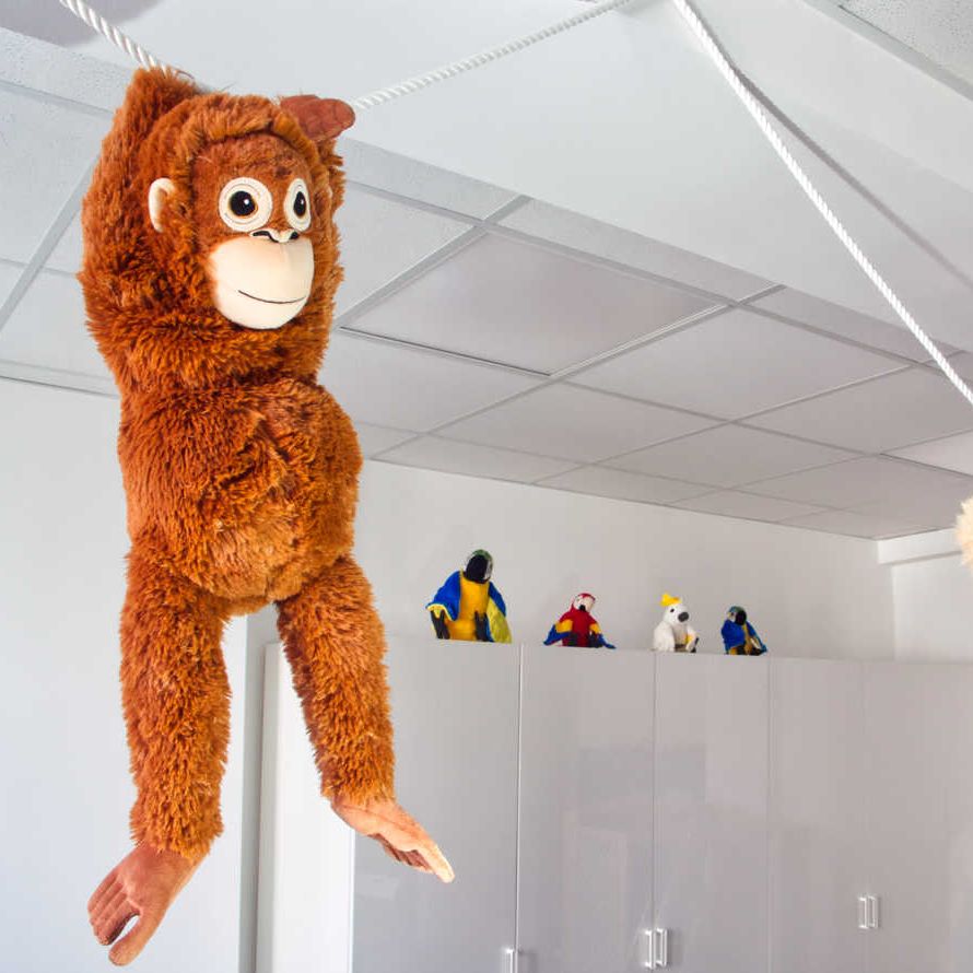 Hängender Affe
