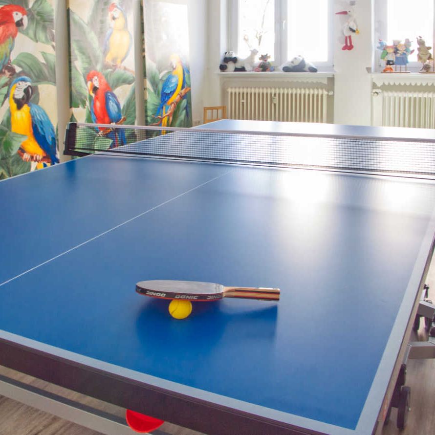 Tischtennisplatte